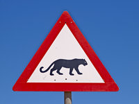 Okonjima [ 64 images ]